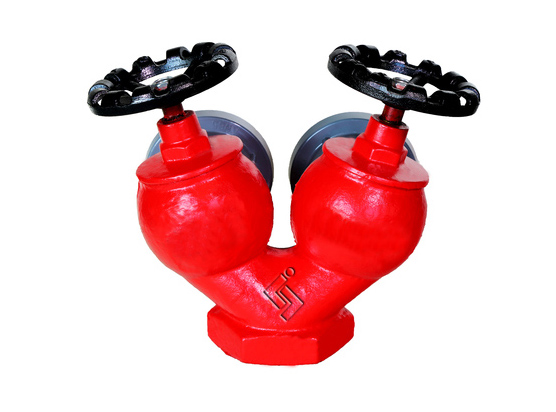 雙閥雙(shuāng)出口室内(nei)消火栓